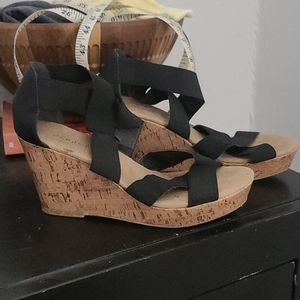 Maurices wedge